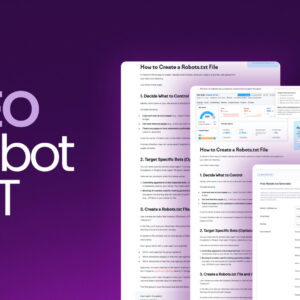 SEO Robot TXT